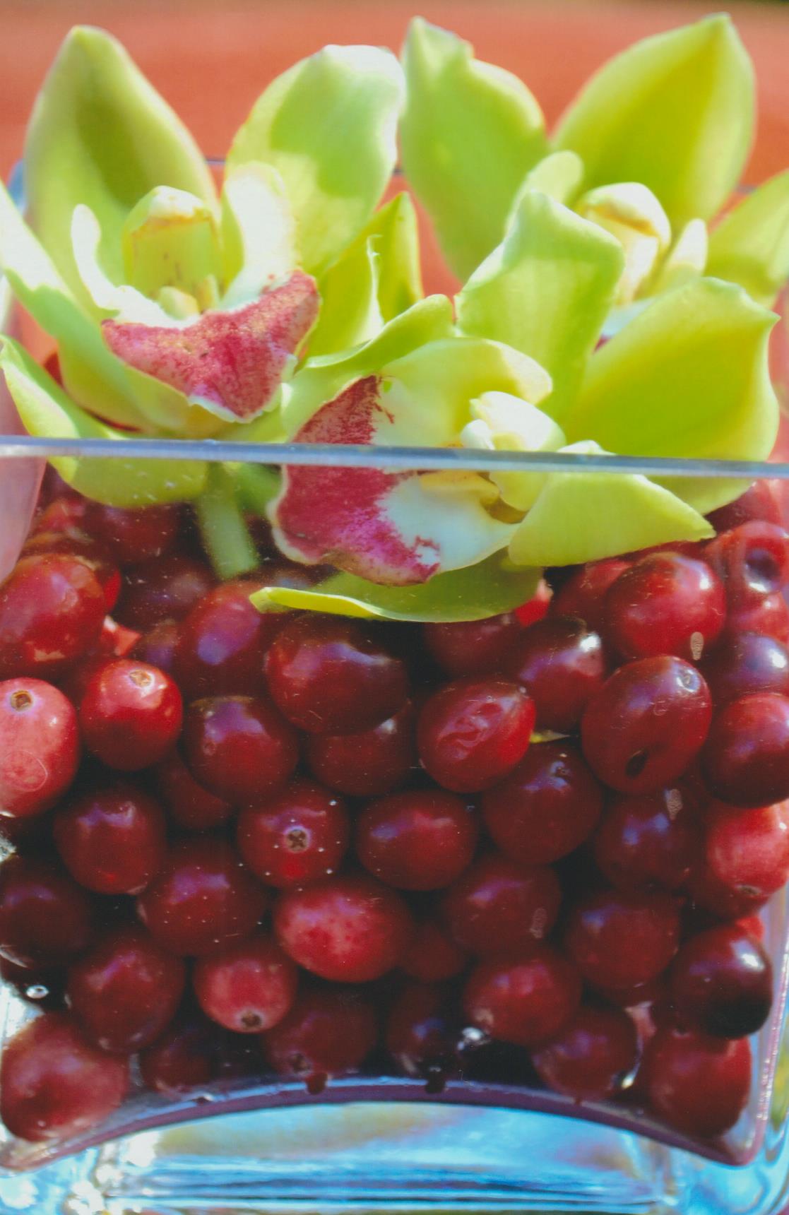 fall berries 001.jpg