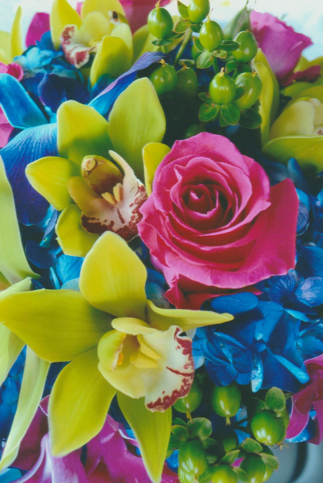 brights closeup 001.jpg