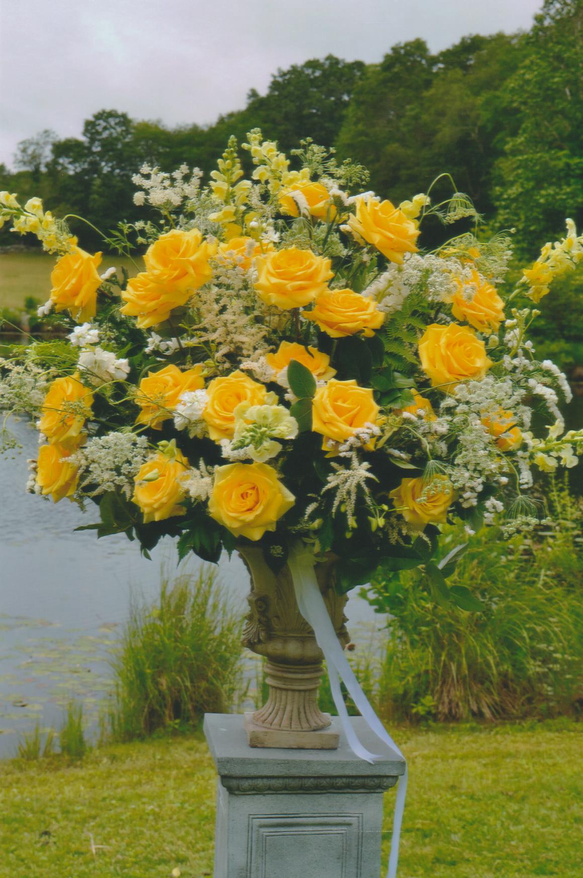 large yellow 001.jpg