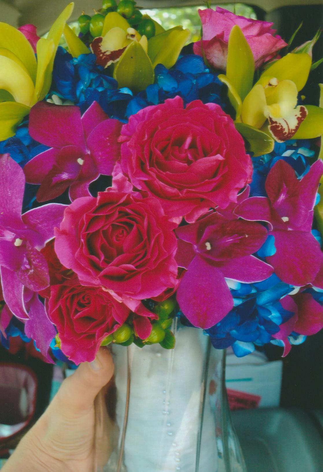 wild brite boq 001.jpg