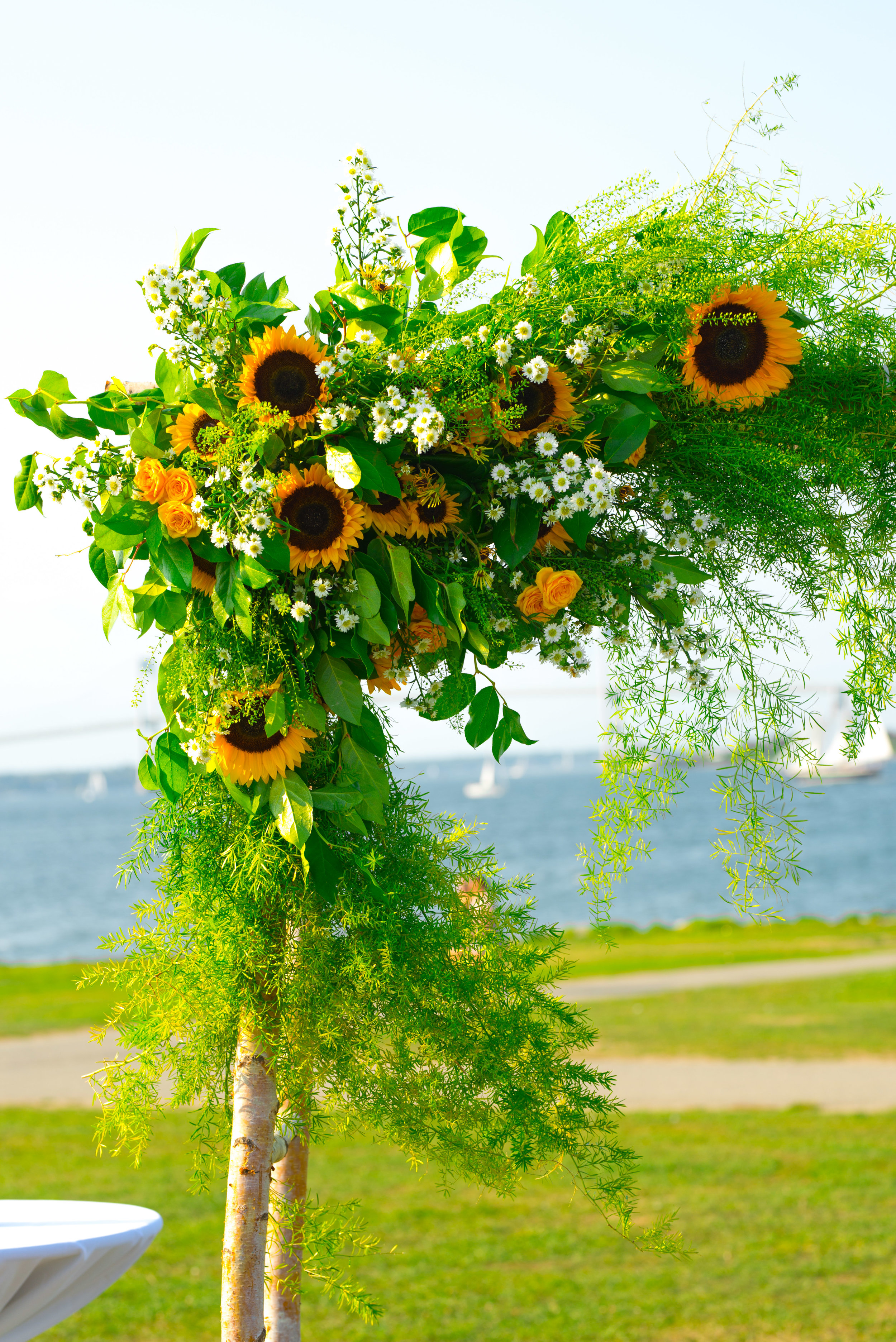 Hillary Deane @MVP Photography