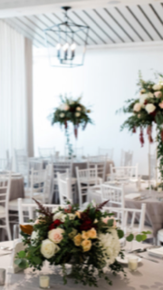 Matthew Ferrara Photography