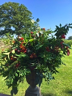 Norman Bird Sanctuary