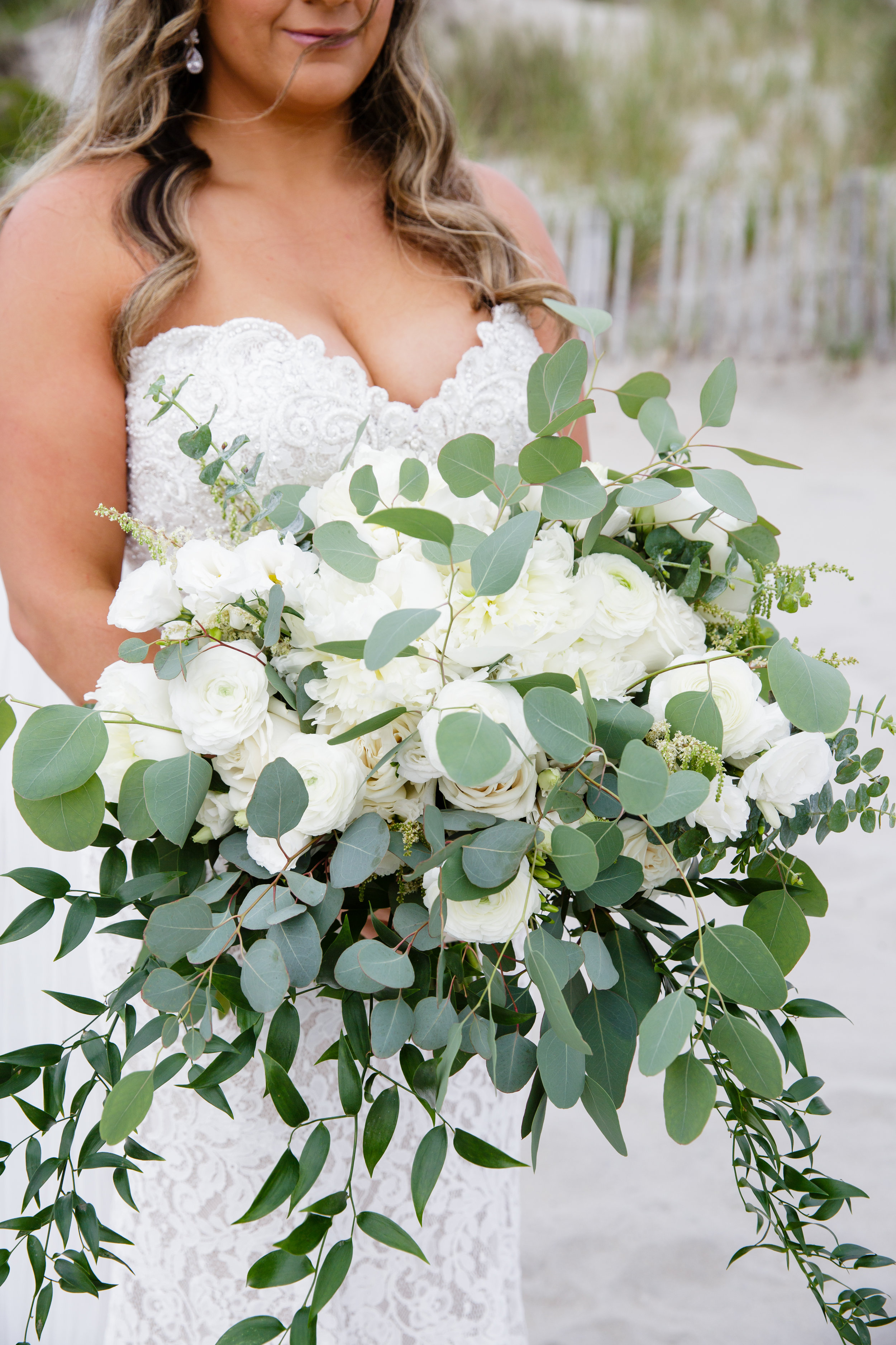 Lefebvre Photography