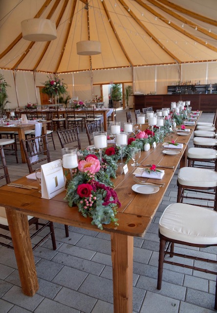 Photo by Penny Souza