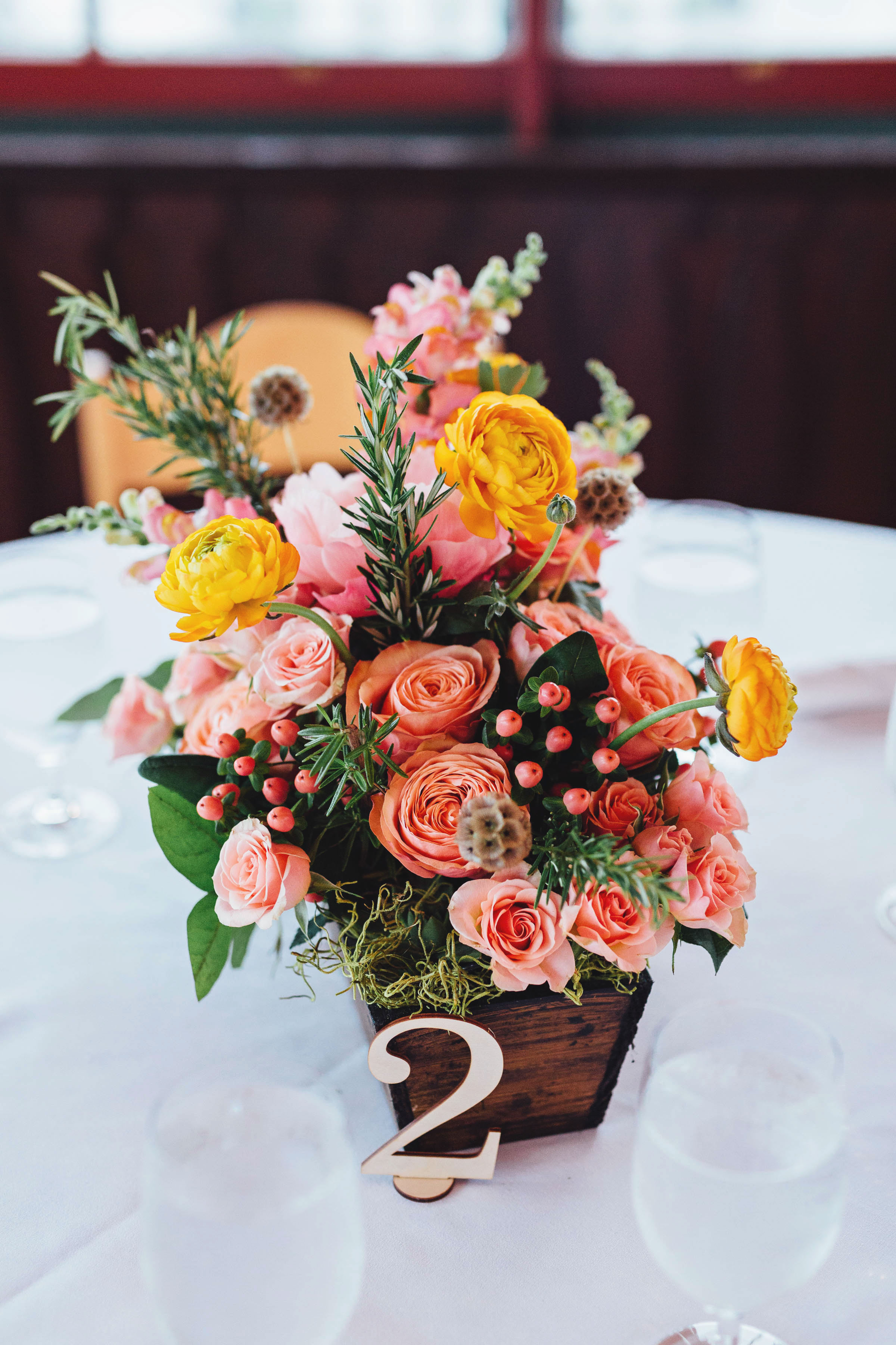 Kinney Bungalow Brights