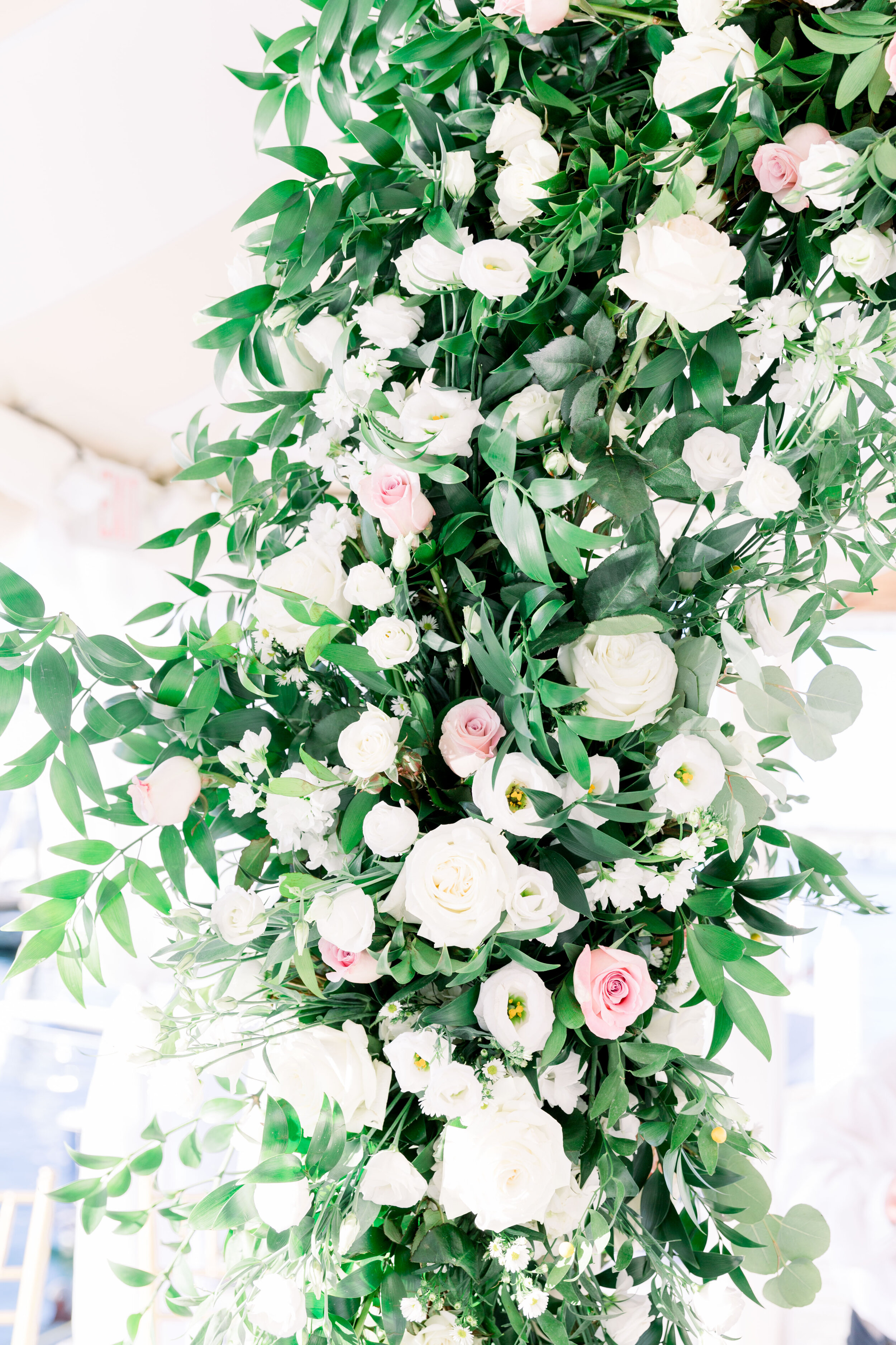 ashley waterman photography