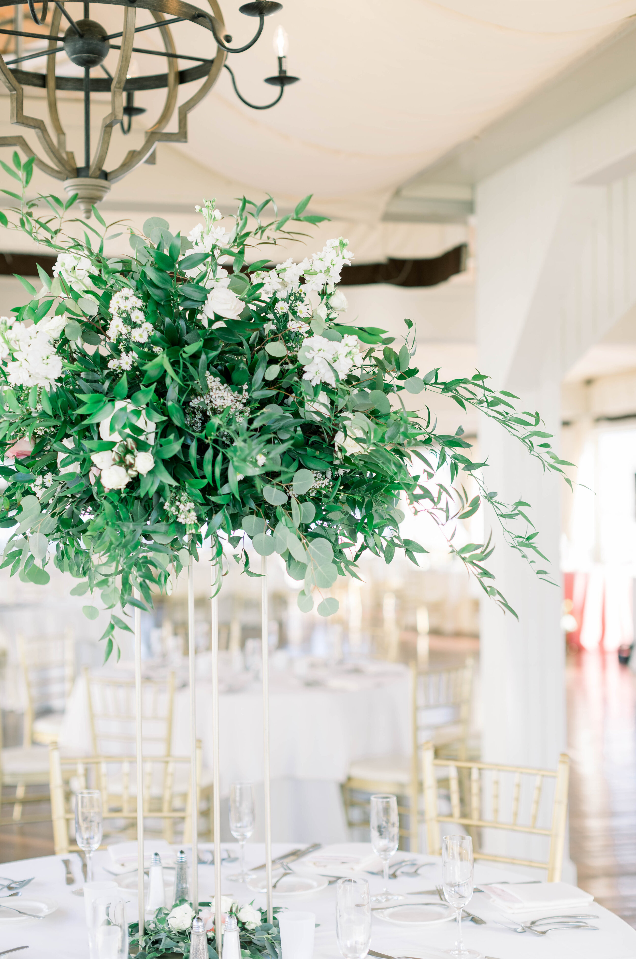 ashley waterman photography