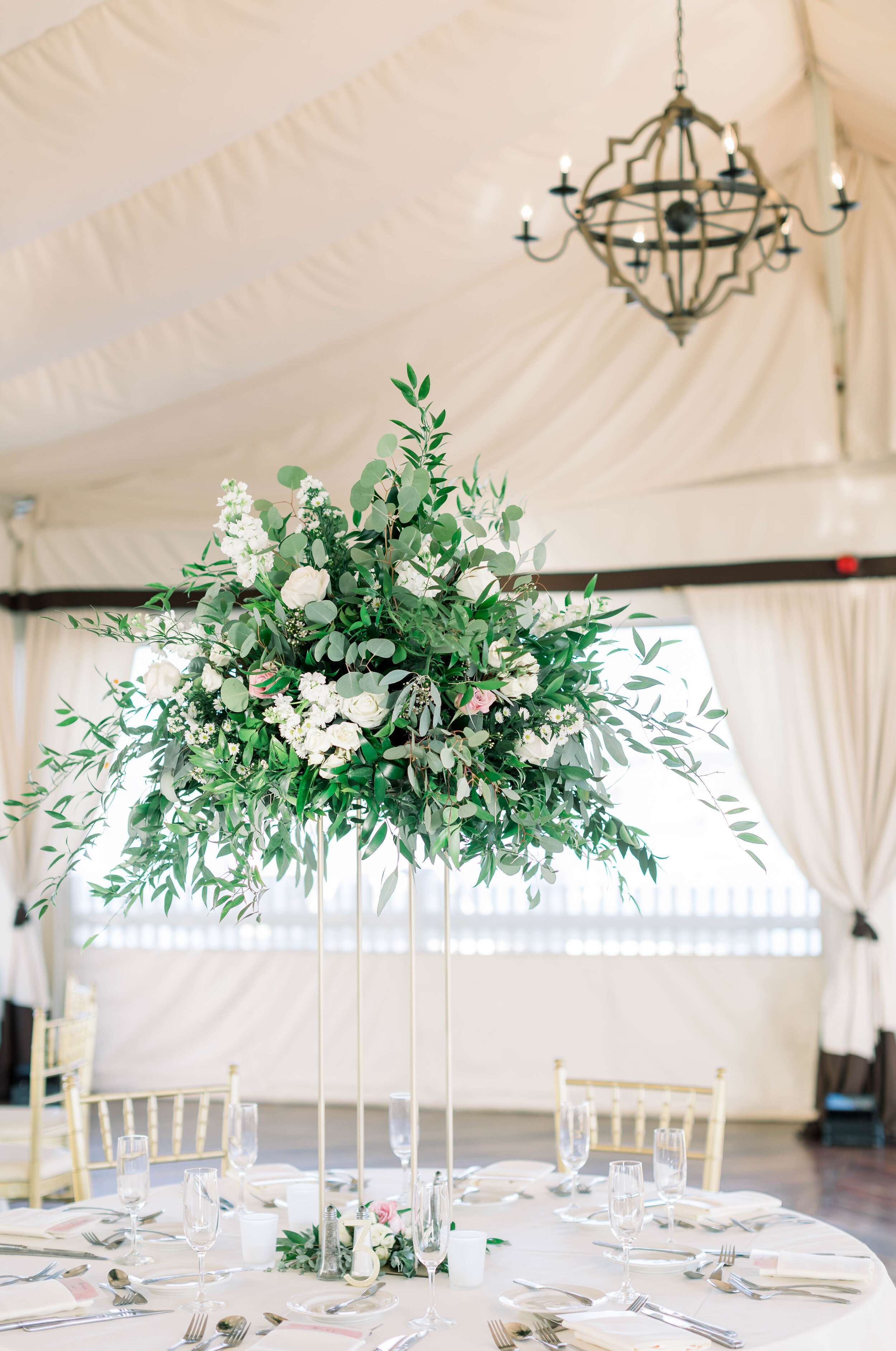 ashley waterman photography