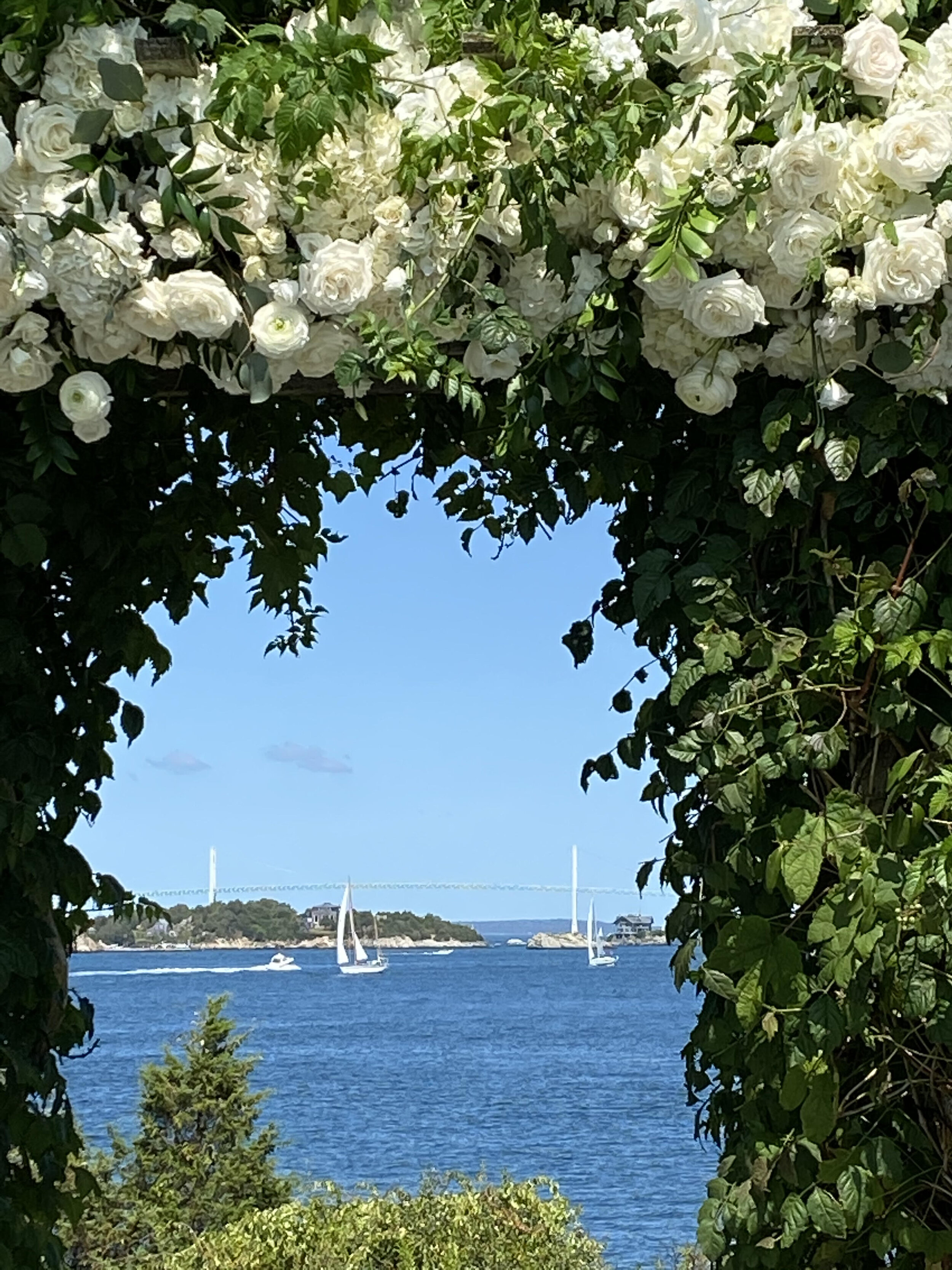  Arbor at Castle Hill 